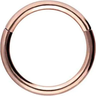 Produktbild von Ohrpiercing, Nasenpiercing, Septum Piercing Titan Segmentring Clicker RoséGold Innendurchmesser: 6mm + Stabstärke: 1mm