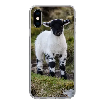 Produktbild von MuchoWow® Handyhülle Schutzhülle Hülle für iPhone X Lamm - Schwarz - Weiß - Tupfen Silikon Softcase Handy Hülle - Handyhülle
