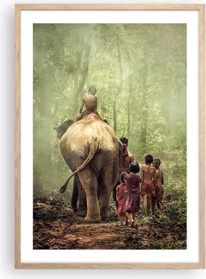 Produktbild von Gerahmtes Poster - Rahmen in heller Eiche - Elefant Dschungel Nebel - 50x70 cm - Wand Bild - Wanddeko - Wandbilder - Wandposter - Bilderrahmen - Bilder - Kunstdruck - Wandbild - P2NPA50x70-3438