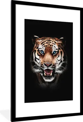 Produktbild von MuchoWow® MuchoWow® Gerahmtes Poster Porträt - Tiger - Schwarz 60x90 cm - Poster mit zchwarzem Bilderrahmen - Dekoration - Wandposter Wohnzimmer - Hochwertig