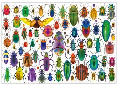 Image de Puzzle - EDUCA - Scarabées - 500 pièces
