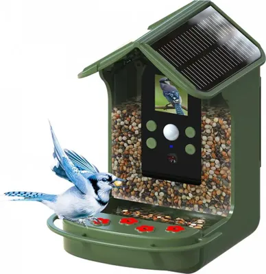 A green bird feeder with a solar panel on top, filled with birdseed, and a blue jay bird feeding from it.