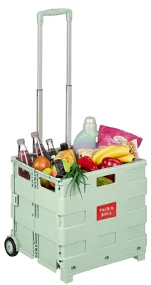 Obrázek produktu pro Skládací nákupní vozík s teleskopickou rukojetí, nosnost 35 kg