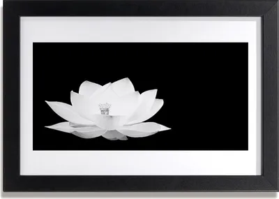 Produktbild von Bild 30x20 MDF-Rahmen Wandkunst Natur Blume Pflanze
