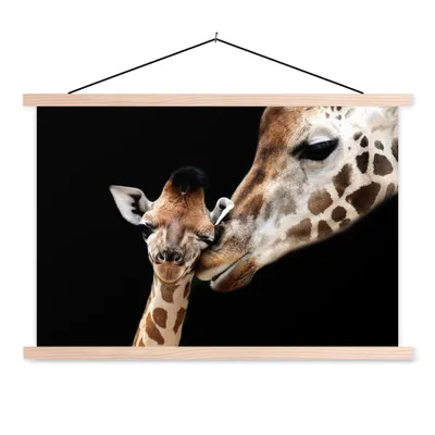 Produktbild von MuchoWow® Textilposter Giraffe - Tiere - Schwarz - Porträt - Tiere 120x80 cm mit holzfarbenen Rahmen - Aufhängeset
