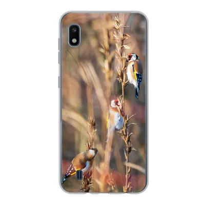 Produktbild von MuchoWow® Handyhülle Schutzhülle Hülle für Samsung Galaxy A10 Vögel - Äste - Wald Silikon Softcase Handy Hülle - Schutzhülle