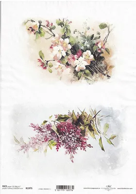 Image de ITD Papier de riz découpage papier de bricolage, A4 R1975 Fleurs de cerisier, fleurs violettes