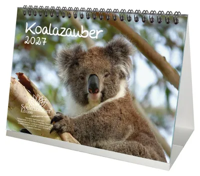 Produktbild von Koalazauber DIN A5 Tischkalender für 2027 Koalabären, Koala - Seelenzauber