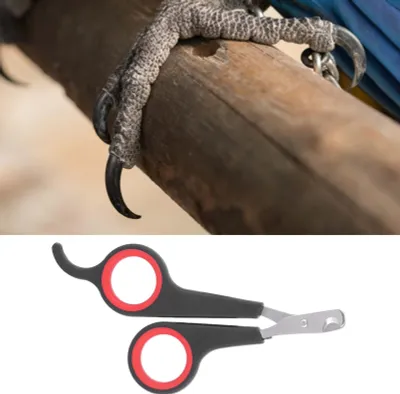 Image de Accessoire de toilettage pour oiseaux, perroquets et petits animaux, ciseaux à ongles, coupe-ongles, noir et rouge