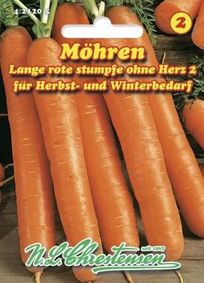 Artikelbild 1 von 'Speisemöhre Lange rote stumpfe ohne Herz 2 (30 g)' aus der Kategorie Möhrensamen