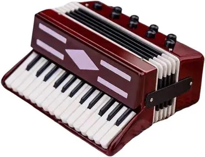 Immagine prodotto di Piccola fisarmonica da 6 cm con custodia, per la decorazione e per gli amanti della musica