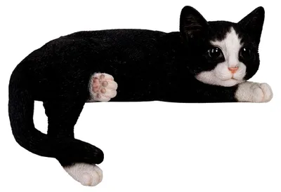 Produktbild von Legende Katze in Schwarz und Weiß