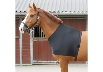 Produktbild von Harrys Horse Brustschutz schwarz mit Klett , Busse_17_Groessen:XL