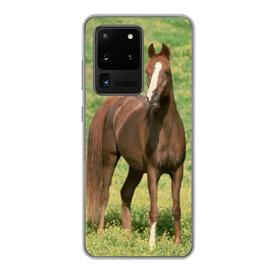 Produktbild von MuchoWow® Handyhülle Schutzhülle Hülle für Samsung Galaxy S20 Ultra Pferde - Gras - Braun Silikon Softcase Handy Hülle - Karteninhaber