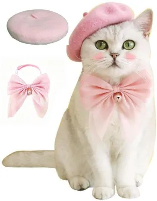 Productafbeelding van Kattenmutsjes - Halsbandjes met strepen - 2 stuks - Hoofdaccessoire voor kittens en puppy's - Wolmutsjes voor katten en honden - Halsbanden voor katten - Accessoires voor katten - Kleding voor katten