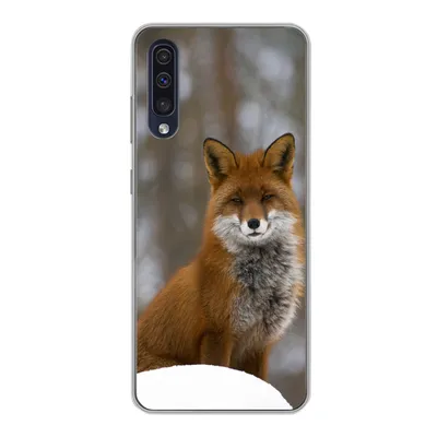 Produktbild von MuchoWow® Handyhülle Schutzhülle Hülle für Samsung Galaxy A30s Fuchs - Wald - Rot Silikon Softcase Handy Hülle - Karteninhaber