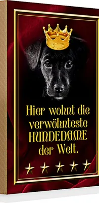 Produktbild von Holzschild Spruch 20x30cm hier wohnt Hundedame der Welt