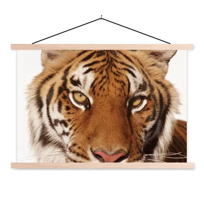 Produktbild von MuchoWow® Textilposter Porträt - Tiger - Tier 120x80 cm mit holzfarbenen Rahmen - Aufhängeset