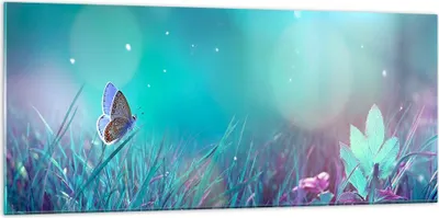 Produktbild von Bilder auf glas - Schmetterling Wiese Blume - 120x50cm - Glasbilder - Wandbilder - Kunstdruck - zum Aufhängen bereit - Wanddekoration aus Glas - Glas Bilder - Wandbild auf Glas - GAB120x50-4077