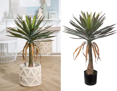 Obrázok produktu pre Gilde dekoratívne umelé rastliny "Yucca palma" 54753