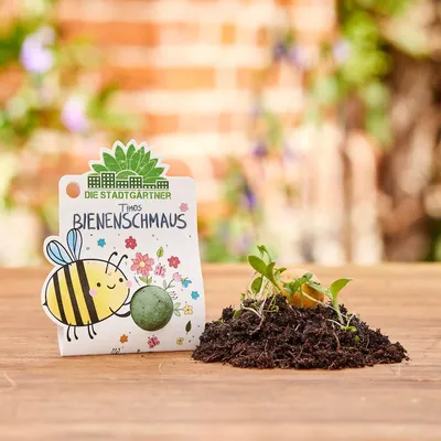 Image de Boule à fleurs Timos Bienenschmaus – Bombe à graines durable avec des graines de fleurs sauvages – Fabriquée à la main et produite de manière sociale – 100 % naturelle et sans danger pour les enfants – Idée cadeau pour les enfants et les amis des insectes
