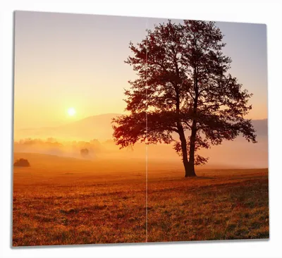 Produktbild von Wallario Herdabdeckplatte aus Glas, Größe 60 x 52 cm 2-teilig, Motiv Sonnenaufgang über der Wiese mit Nebel