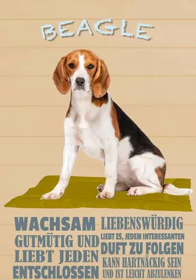 Produktbild von vianmo Holzschild 18x12 cm Beagle Hund gutmütig liebt jeden