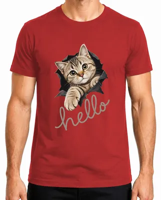Imagen del producto de Camiseta para hombre con estampado "Hola, gatito lindo", diseño de gatito, estilo sarcástico, ideal para amantes de los animales, color rojo, talla 3XL