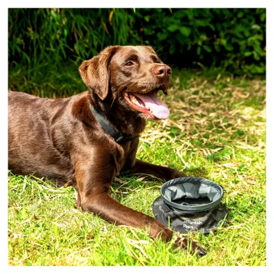 Produktbild von Zusammenklappbarer Wassernapf für Hunde