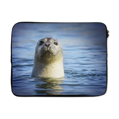 Produktbild von MuchoWow® Laptop Hülle 14 ZollSiegel - Porträt - Wasser Laptoptasche - Laptoptasche - Stoßsicher - Schutzhaube