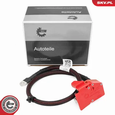 Obrázek produktu pro klema akumulatora BMW X5 X6 X7, 61128796040