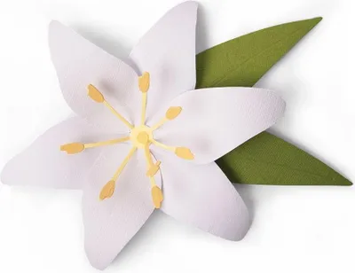 Produktbild von SIZZIX Bigz Stanzform Präge Stanzschablone Cutting Die, Lily 663698