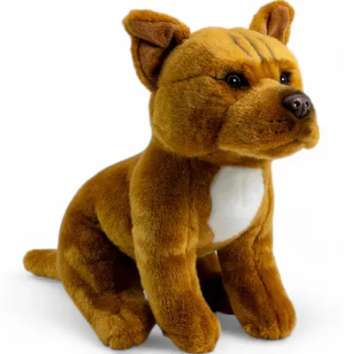 Productafbeelding van Carl Dick Stafford, bruine bulterrier, knuffel, pluchen speelgoed, ongeveer 32 cm, artikelnummer 3610