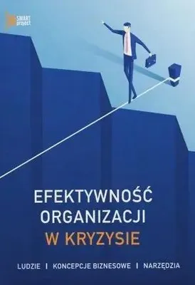 Obrázok produktu pre Efektívnosť organizácie v krízovej situácii