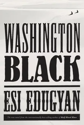 Produktbild von Washington Black