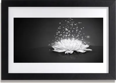 Produktbild von Bild 30x20 MDF-Rahmen Wandkunst Natur Blume Pflanze