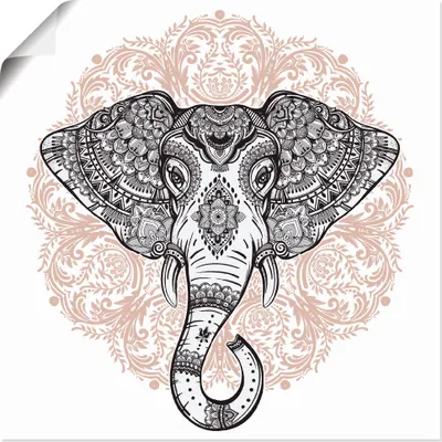 Produktbild von ARTland Poster Vintage Mandala Elefant Größe: 40x40 cm