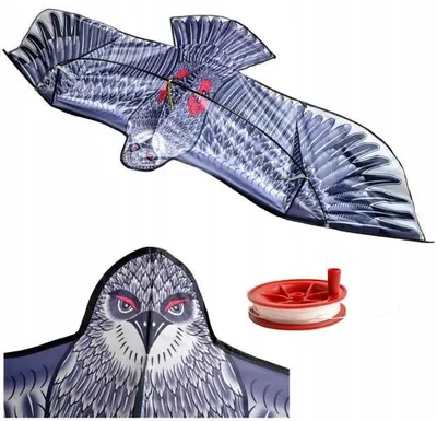 Zdjęcie produktu dla ISO 8560 Duży latający smok Orzeł 200x83cm