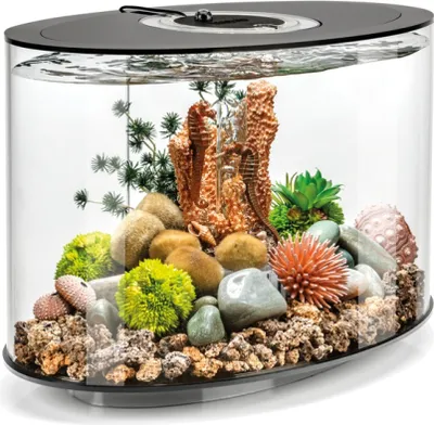 Produktbild von Langes aquarium 15l schwarze konturen Oase LOOP 15 MCR BLACK