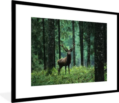 Produktbild von MuchoWow® Gerahmtes Poster Hirsche - Wald - Bäume - Tiere - Natur 80x60 cm - Poster mit Schwarzem Bilderrahmen Wandposter Rahmen Foto Bilder - Schlafzimmer-Dekorationen - Fotoposter