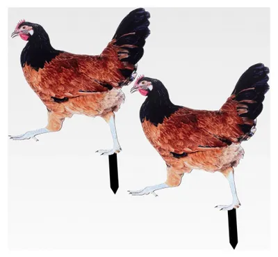 Produktbild von 2 Stück Gartenstecker Hühnerfiguren für die Gartendekoration