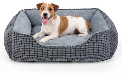 Immagine prodotto di Cuccia per cani, lavabile, grigia, 63x53x20 cm