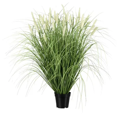 Produktbild von Kunstpflanze Pennisetum I Grün ca. 90cm