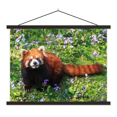 Produktbild von MuchoWow® Textilposter Roter Panda - Blumen - Lila 60x45 cm mit schwarzem Rahmen - Poster Schlafzimmer