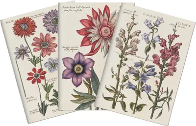 Immagine prodotto di Set di tre quaderni Blue Flowers
