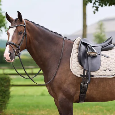 Produktbild von HV Polo Schabracke HVPJoan DR, Größe:Warmblut, Farbe:Cashmere