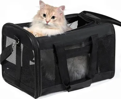 Produktbild von Tiertransportbox für Hunde und Katzen, faltbar, fluglinienzugelassen, reisefreundliche Transporttasche, M