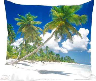 Produktbild von MuchoWow® Zierkissen Sofakissen Wohnzimmer Dekokissen 40x40 cm Strand - Palme - Tropisch - Foto Kissen - Schlafzimmer Dekoration