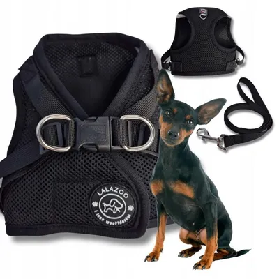 Produktbild von Lalazoo BENXI druckfreie Hundegeschirre für kleine Rassen XS Schwarz
