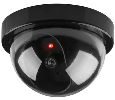 Productafbeelding van BW Nepcamera, beveiligingscamera, imitatie, nep bewakingscamera